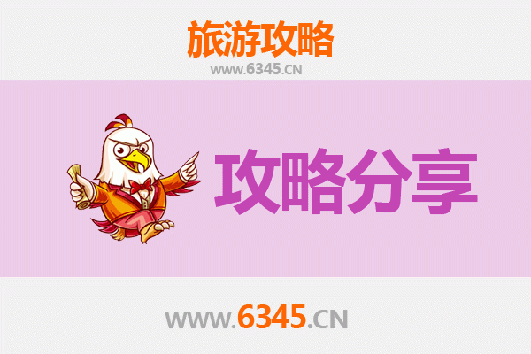 上海嘉定旅游攻略：跟团与自由行全方位对比