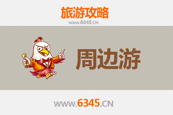 上海嘉定深度周边游攻略：古韵与现代交织的假日之旅