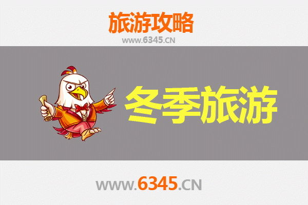 上海嘉定冬季旅游全攻略：暖冬韵味与文化探索